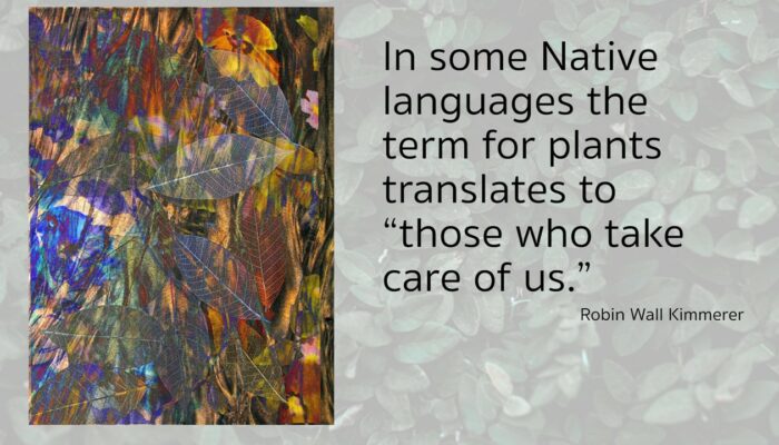 In some Native languages the term for plants translates to "those who take care of us."