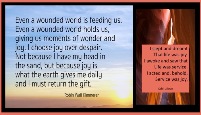 Even a wounded world is feeding us. Even a wonded world hods us, giving us moments of wonder and joy. I chooose joy over despair. Not because I have my head in the sand, but because joy is what the earth gives me daily and I must return the givt. robin Wall Kimmerer I slept and dreamt that life was joy. I awoke and saw that life was service. I acted and, behold, Service was joy