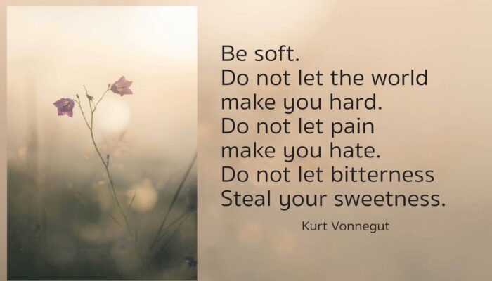 Be soft, Do not let the world make you hard. Do not let pain make you hate. do not let bitterness steal your sweetness