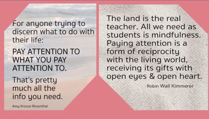 For anyone trying to discern what to do with their life: Pay Attention to what you pay attention to. That's pretty much all the infor you need. Amu Krouse Rotsenthal The land is the real teacher. All we need as students is mindfulness. Paying attention is a form of reciprocity with the living world, receiving its gifts with open eys & open heart.