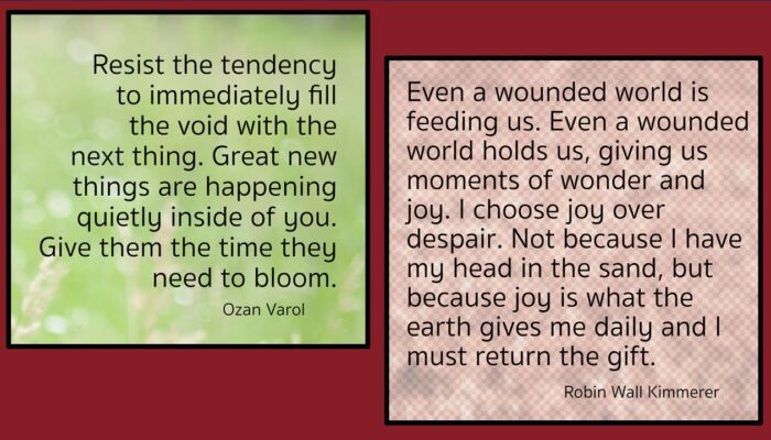 April 2026 sayings 2 Resist the tendency to immediately fill the boid with th next thing. Great new things are happening quietly inside of you. Give them the time they need to bloom. Even a wounded world is feeding us. Even a wounded world hods us, giving us moments of wonder and joy. I choose joy over despair. Not because I have my head in the sand, but because joy is what the earth gives me daily and I must return the gift.