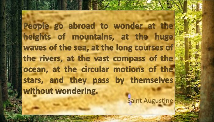 Creative living is choosing the path of curiosity over the path of fear. elizabeth Gilbert Question to Consider: During childhood, what were you most curious about? And how do you see an echo of that in your life today?